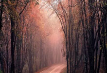 埃弗顿遭遇逆转，客场输给富勒姆