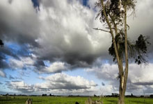 切尔西再次击败布莱顿，保持领先优势