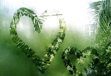 科尔多瓦主将愿加盟豪门，乌顿聘新帅