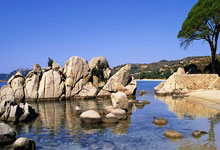 猛龙队接连获胜，加索尔成为重要一环